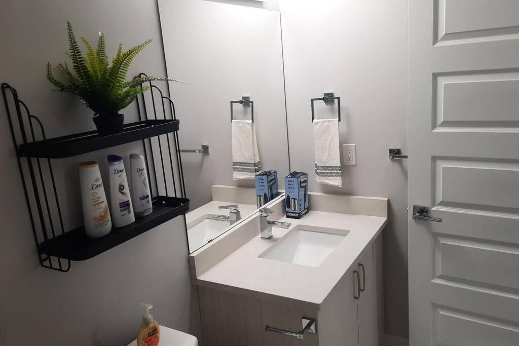 Carsonway Basement Suite 埃德蒙顿 外观 照片